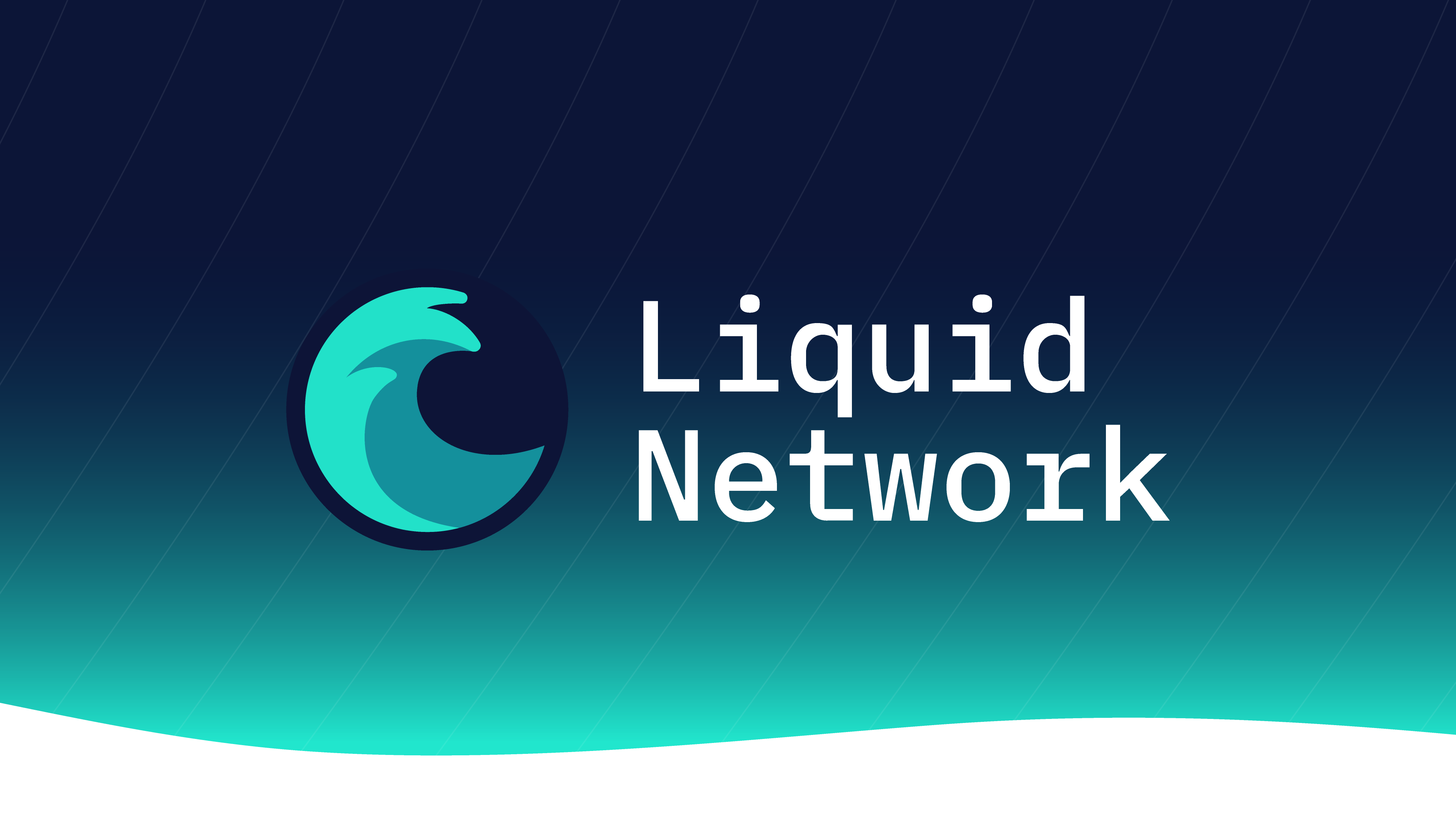 the-liquid-network